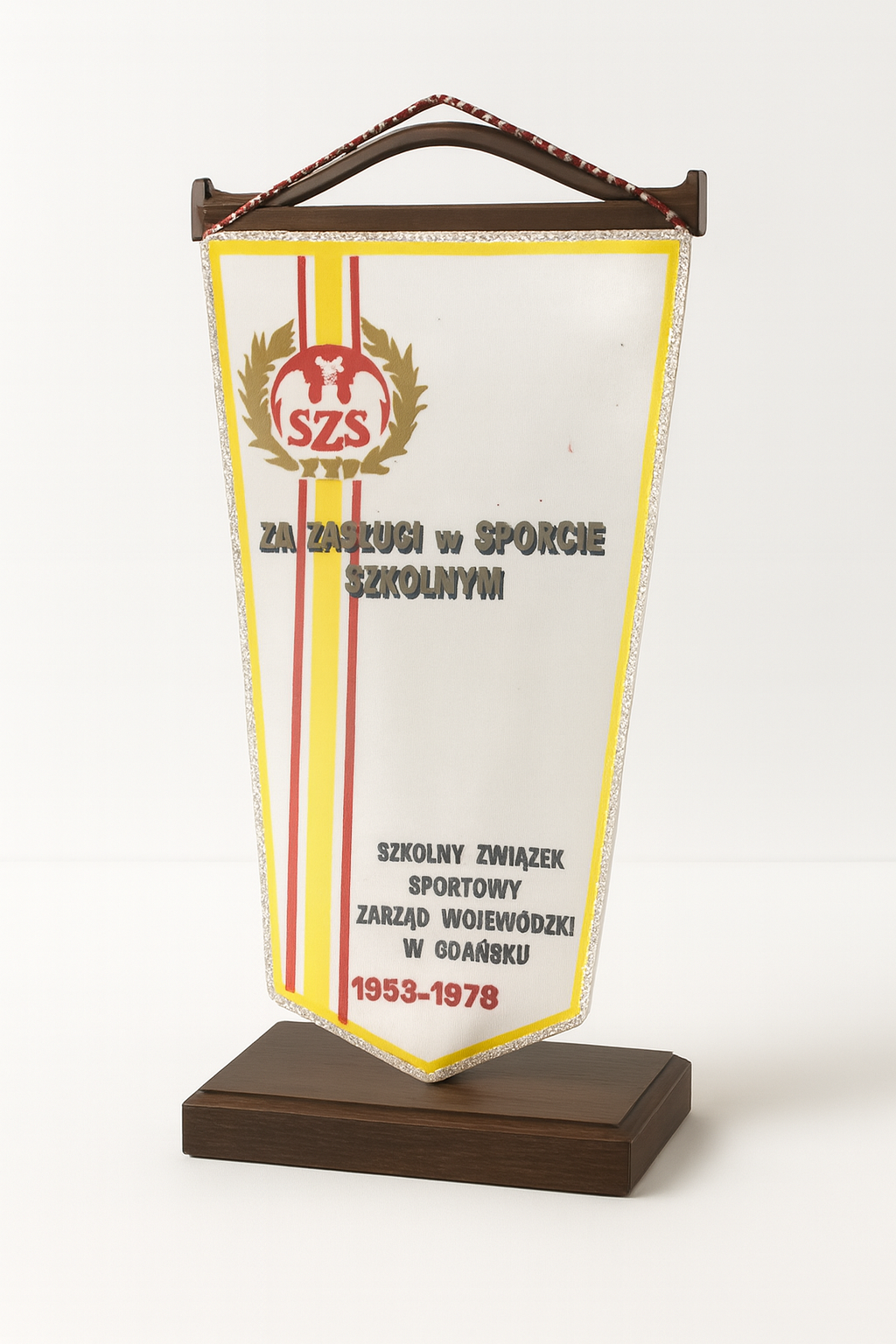 Proporczyk Za Zasługi w Sporcie Szkolnym